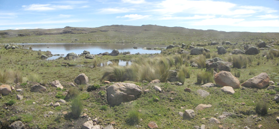 Teich in der Anden-Hochebene (Altiplano)
                        des Huamina-Passes ("Abra Huamina")
                        zwischen Ayacucho und Ocros, 10:02 Uhr,
                        Panoramafoto