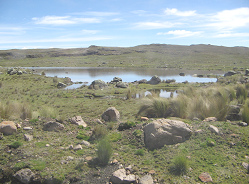 Teich in der Anden-Hochebene (Altiplano) zwischen
            Ayacucho und Ocros, 10:02 Uhr