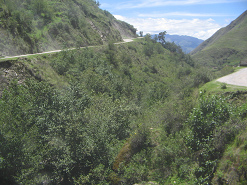 Vista saliendo del valle con el transcurso
                        vial (a la izquierda y a la derecha)