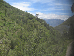 Vista saliendo del valle, arbusto y figura
                        del rbol