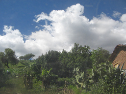 Tejahuasi antes de Chincheros, cacto y
                        platanero con imagen de nubes