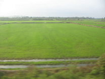 Panamericana in Nord-Peru zwischen Mancora
                        und Tumbes, Reisfelder (04)