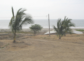 Strand mit Palmen zwischen Tumbes und
                          Zorritos