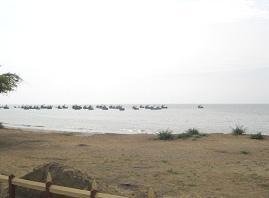 Panamericana Norte zwischen Tumbes und
                          Zorritos, Strand mit Fischerbooten (01)