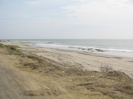 Panamericana Norte zwischen Tumbes und
                          Zorritos, Endlos-Strand
