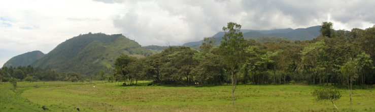 El panorama de las cordilleras de los montes
                      en la selva en el norte de Oxapampa con su
                      representacin particular de fuerza y armona por
                      los montes regularmente redondos
