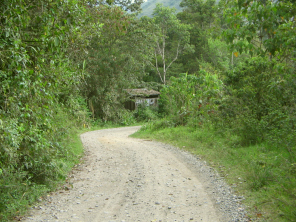 Camino (vecinal), bosque, y casita
