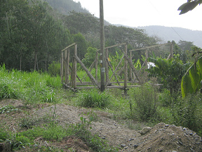 Una casa yanesha en Tsachopen en sus
                          estructuras