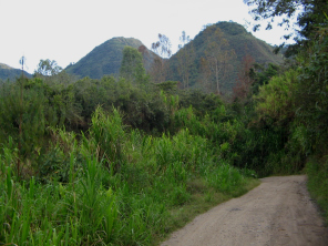 Rckweg von Tsachopen nach Oxapampa,
                          Sicht auf zwei Urwaldberge