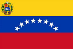 Bandera de
                        Venezuela