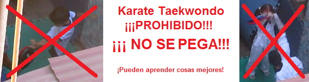 Prohibir karate taekwondo - NO SE PEGA